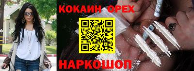 стафф Камышлов