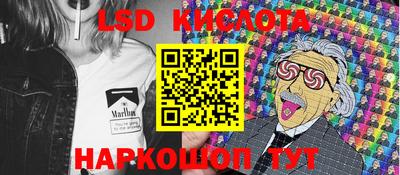 стафф Кандалакша