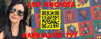 стафф Камышлов