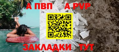 стафф Камышлов