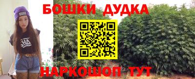 стафф Кандалакша