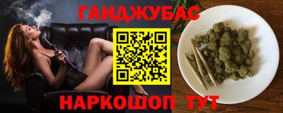 стафф Камышлов
