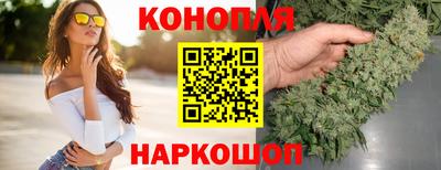 стафф Кандалакша